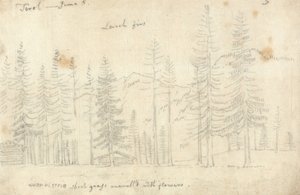 In de Tirol door John Robert Cozens